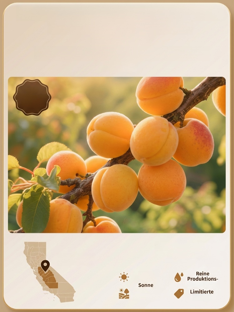 Aus 5 Pfund frischen Aprikosen erhält man 1 Pfund zuckerfreie und zusatzstofffreie Aprikosen