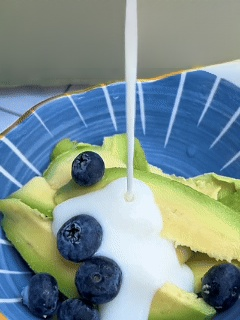 Mexikanische Avocadosetzlinge