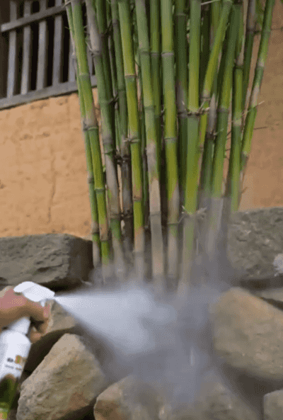 视频 (2).gif