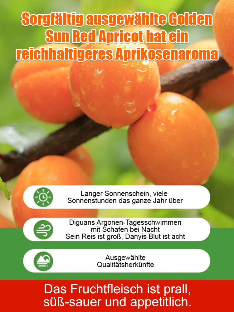 [1+1 GRATIS] Naturbelassene goldene getrocknete Aprikosen – Intensives Fruchtaroma, perfekt süß-säuerlich und unwiderstehlich lecker!