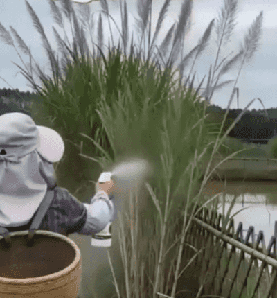 视频 (5).gif