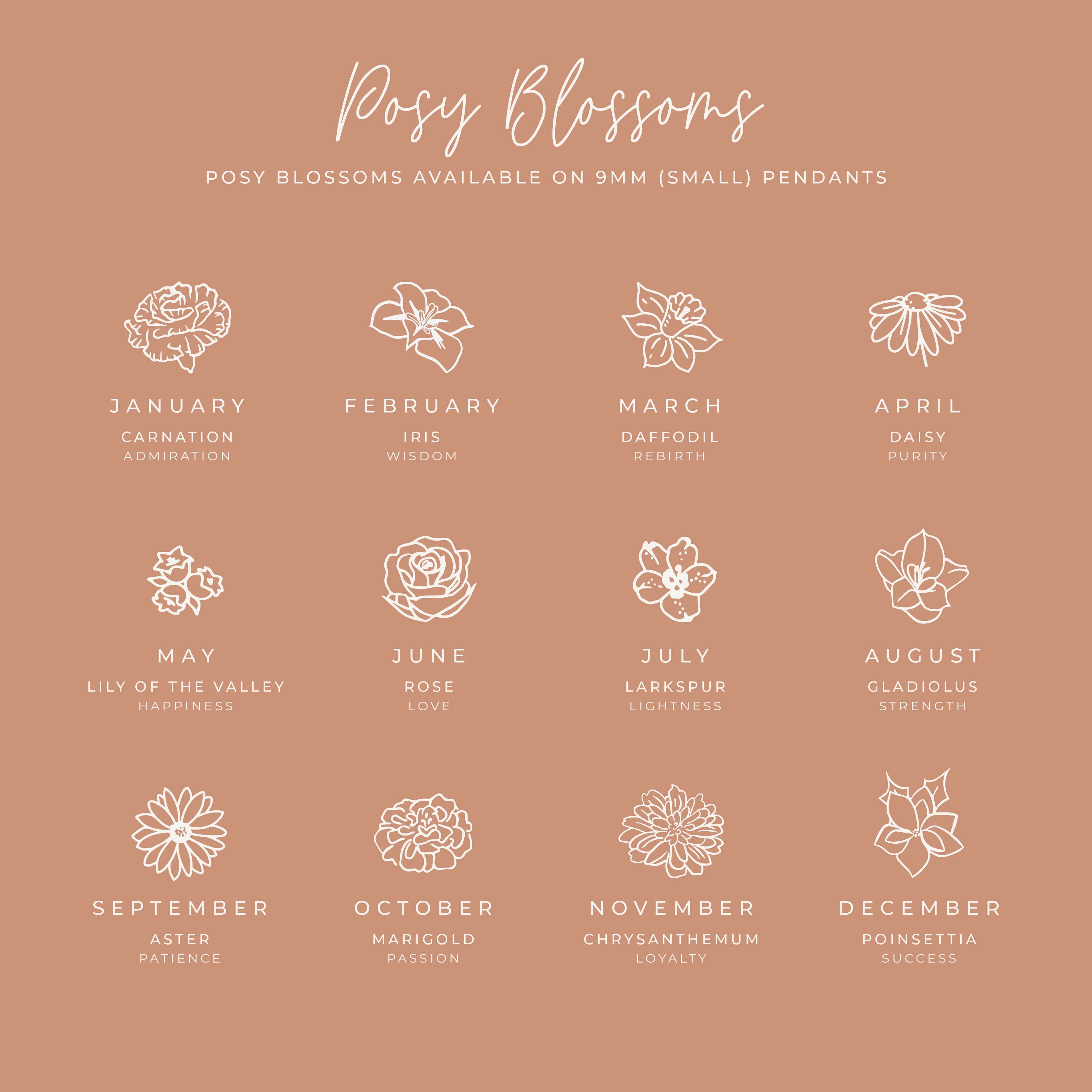 Carnation • Admiration • January Birth Flower