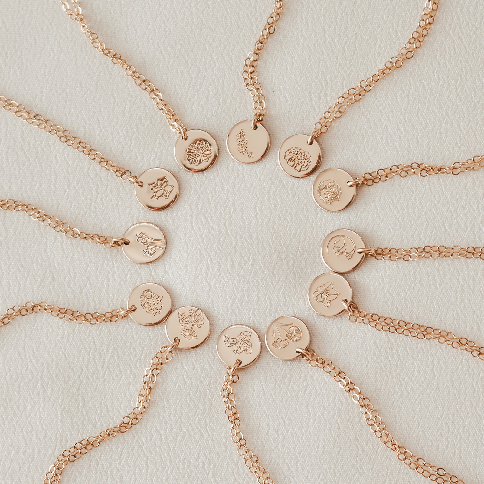 Carnation • Admiration • January Birth Flower