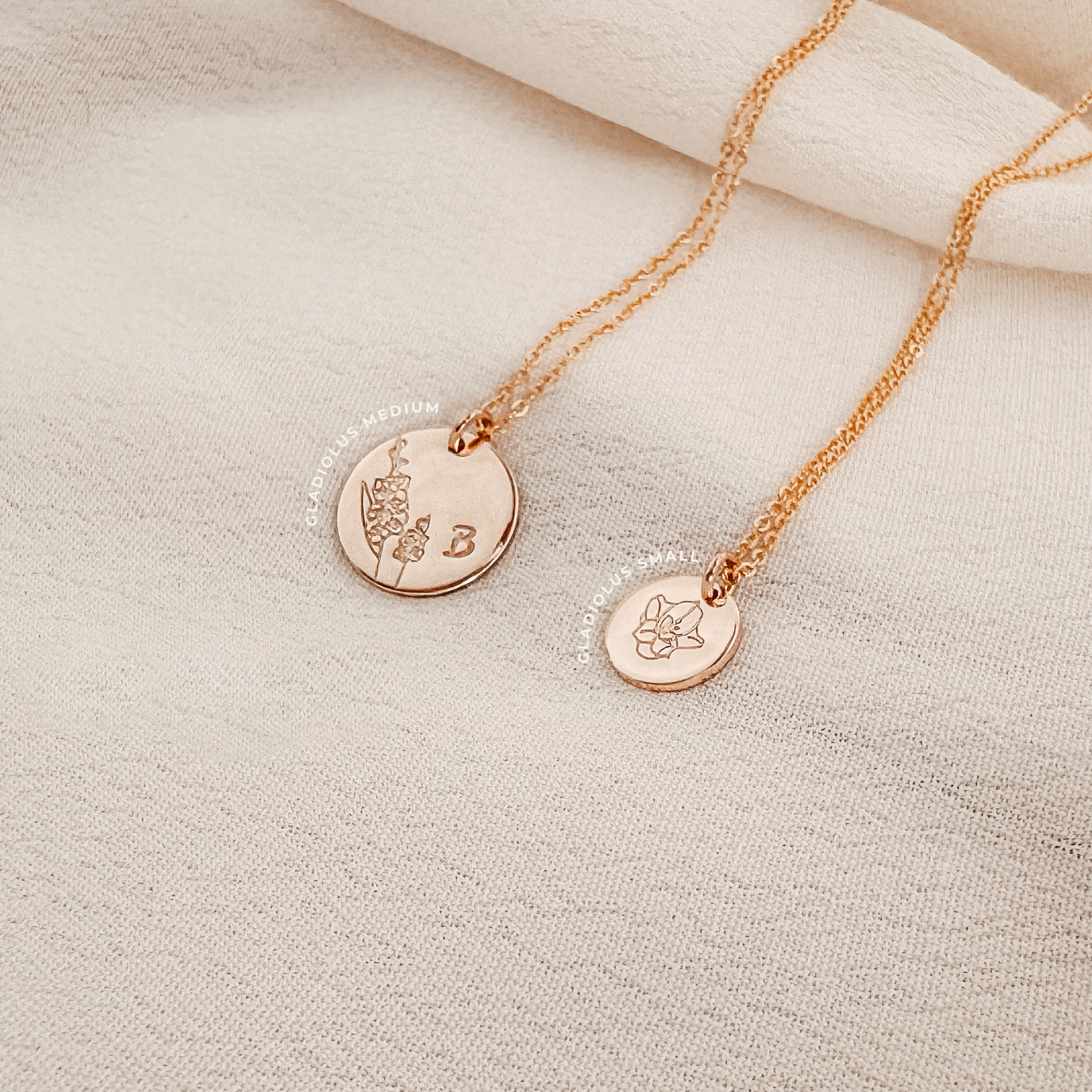 Gladiolus • Strength • August Birth Flower