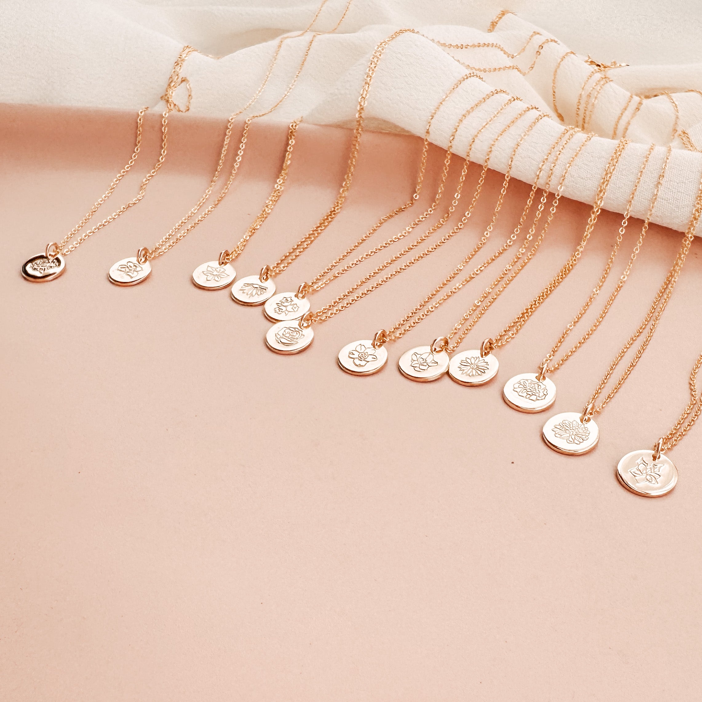 Carnation • Admiration • January Birth Flower