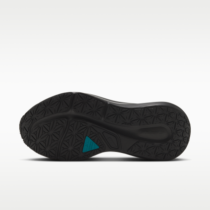 Nike Winflo 12 GORE-TEX - Anthracite/Μαύρο/Metallic Silver/Bright Spruce - 2