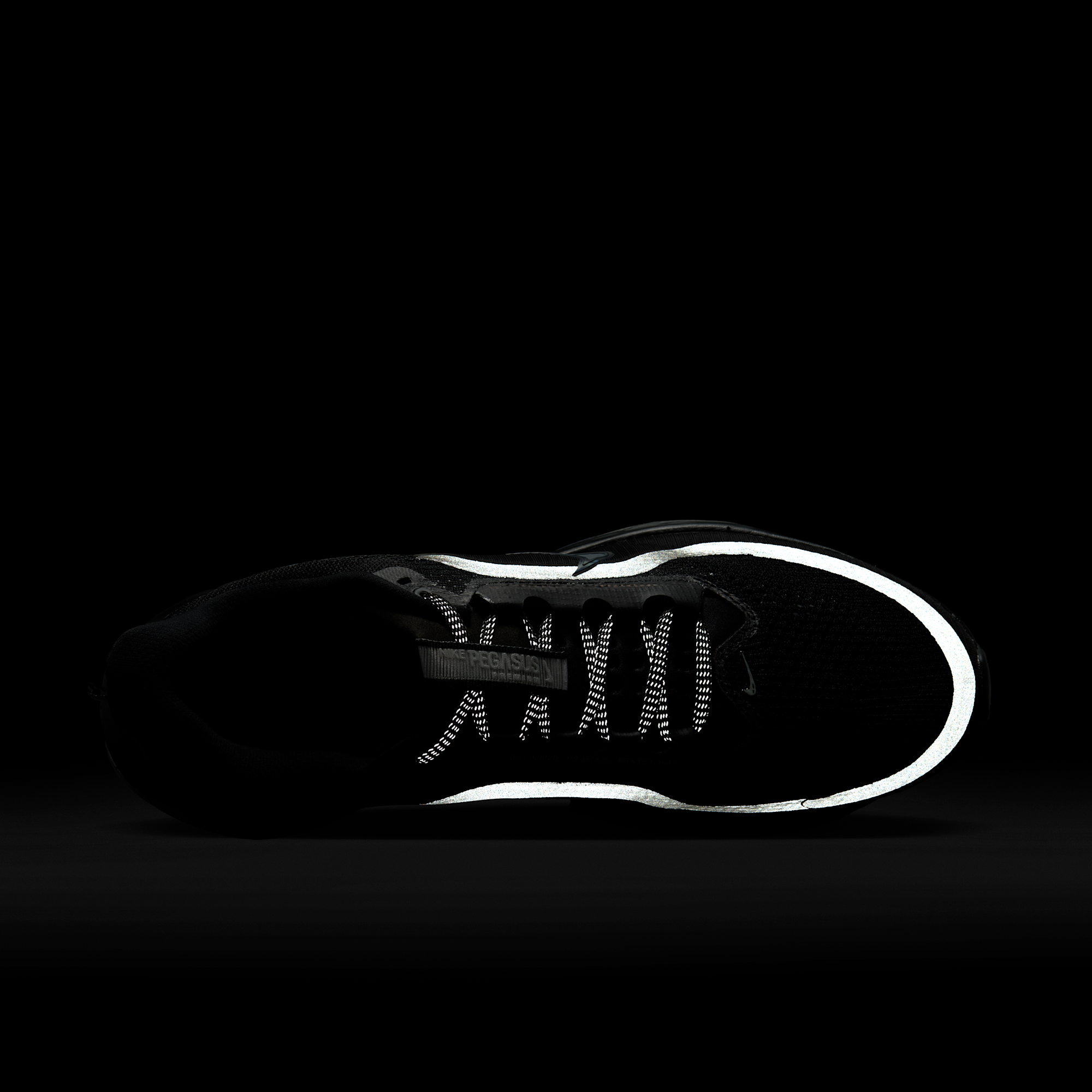 Nike Pegasus Premium - Μαύρο/Metallic Silver/Μαύρο - 9