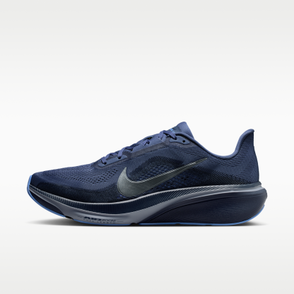 Nike Pegasus 42 - Diffused Blue/Obsidian/Royal Pulse/Cool Grey - 1