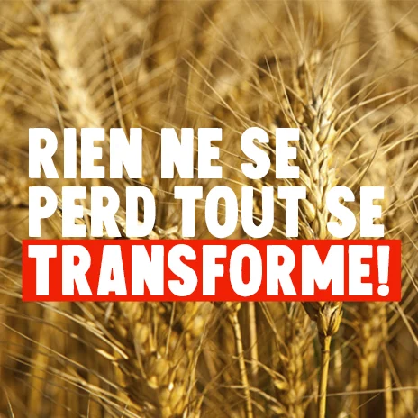 RIEN NE SE PERD, TOUT SE TRANSFORME !