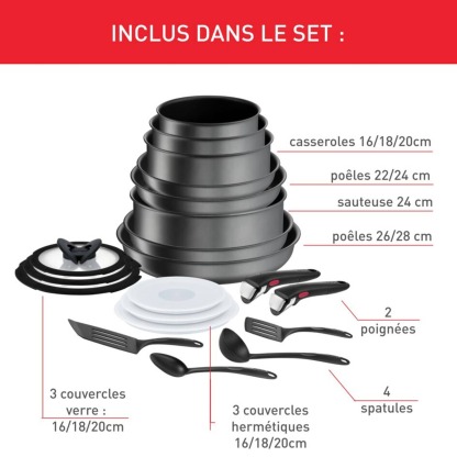 Tethtfal Ingenio Daily Chef, Antiadhésif, Batterie de cuisine 20 pièces, Induction