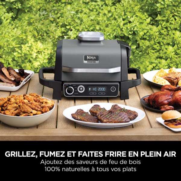 Barbecue électrique & Fumoir Ninthtja Woodfire OG701EU