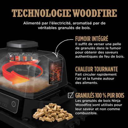Barbecue électrique & Fumoir Ninthtja Woodfire OG701EU