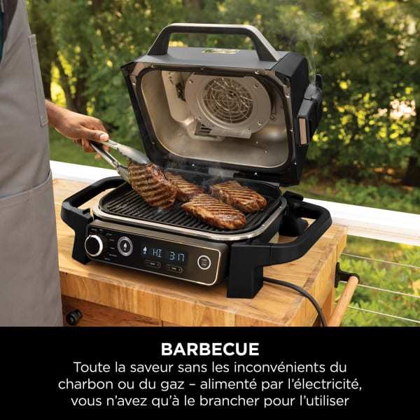 Barbecue électrique & Fumoir Ninthtja Woodfire OG701EU