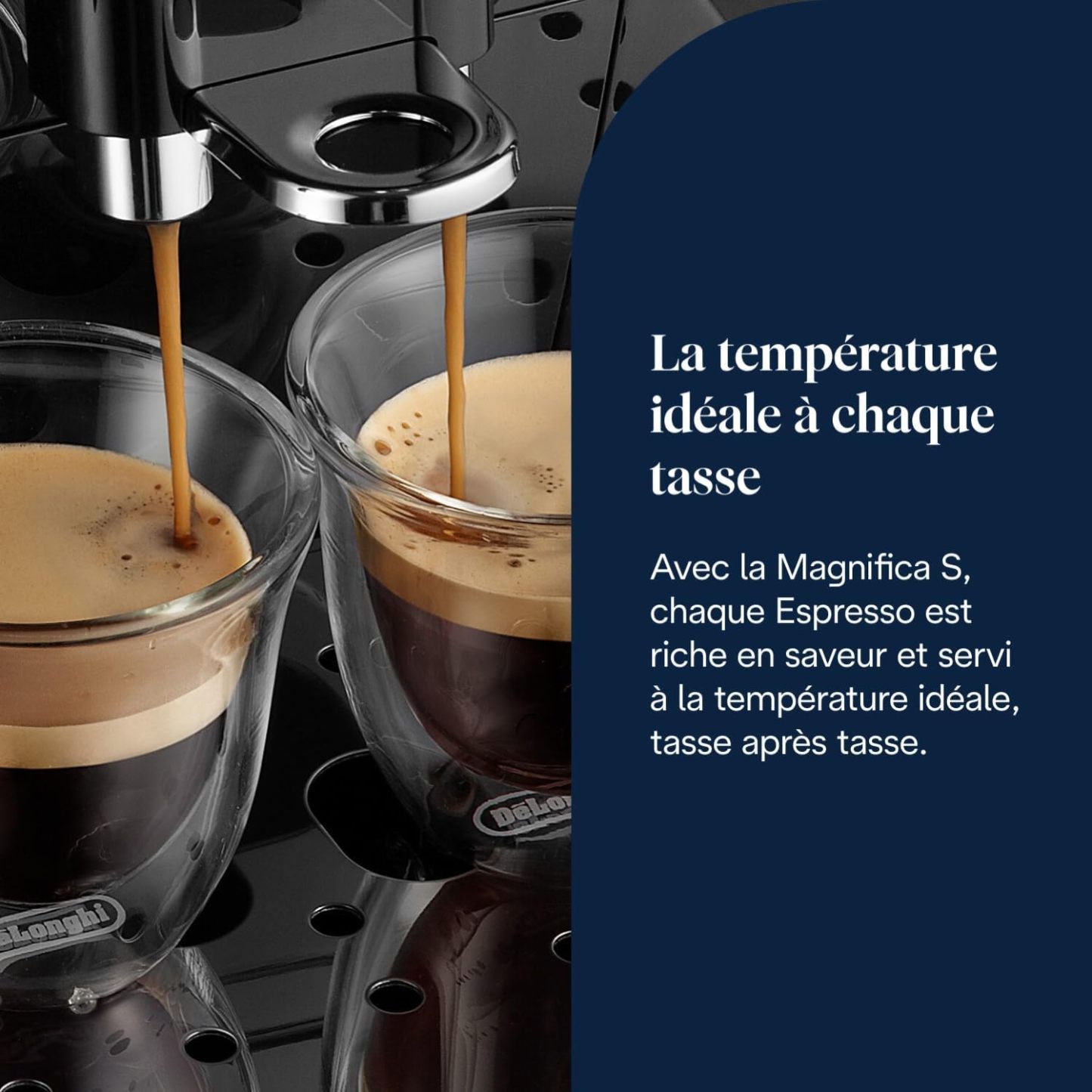 De’Longhi Magnifica S - Perfetto Machine à Café Automatique