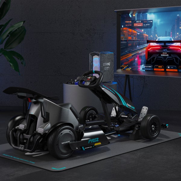 Segthtway Gokart Pro 2