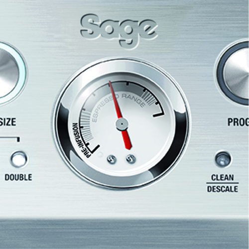 BES875Sage_DNA4.jpg