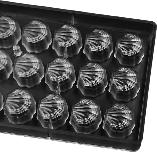 Shell Chocolate Polycarbonate Mould