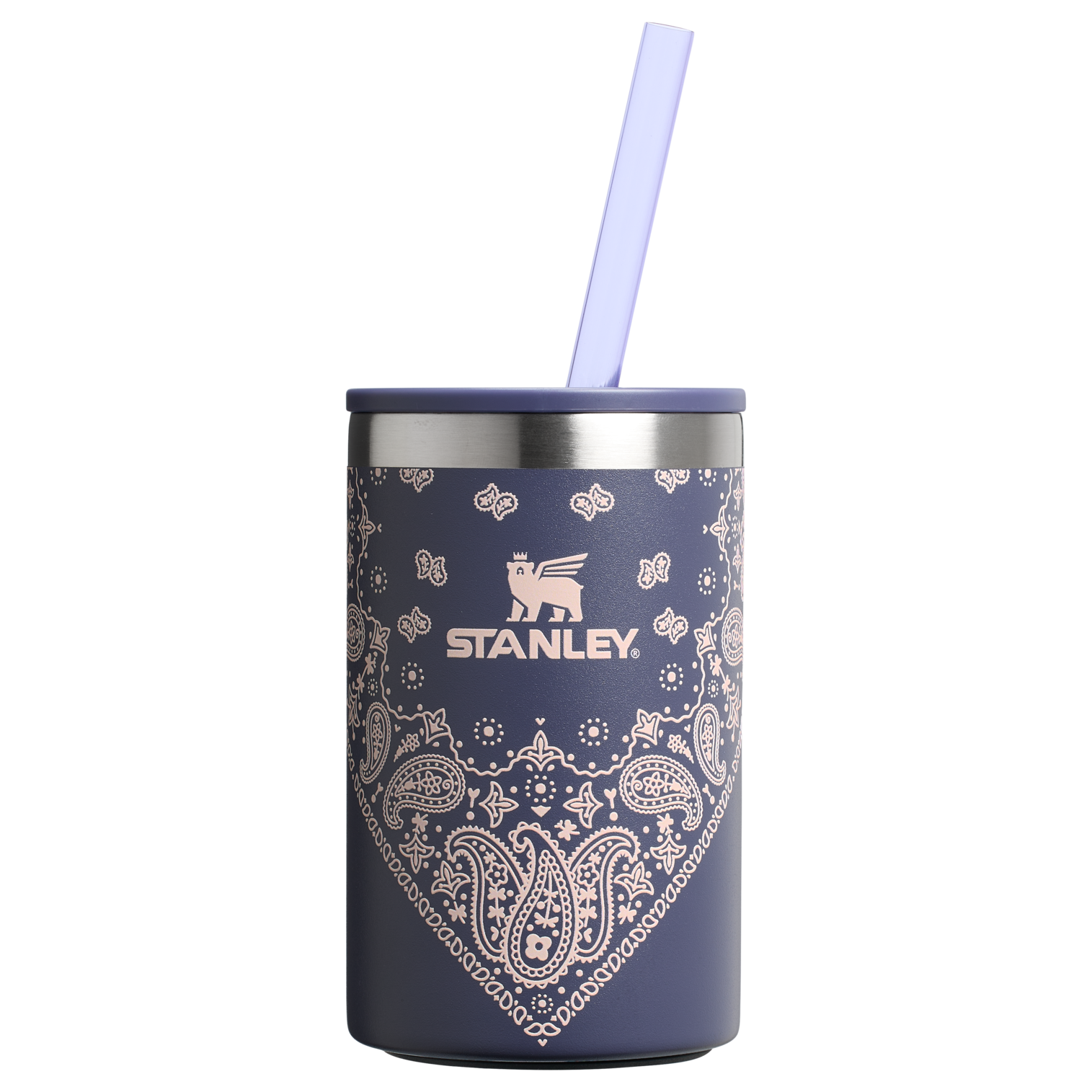 Der alltägliche Dosenkühlerbecher | 10 OZ