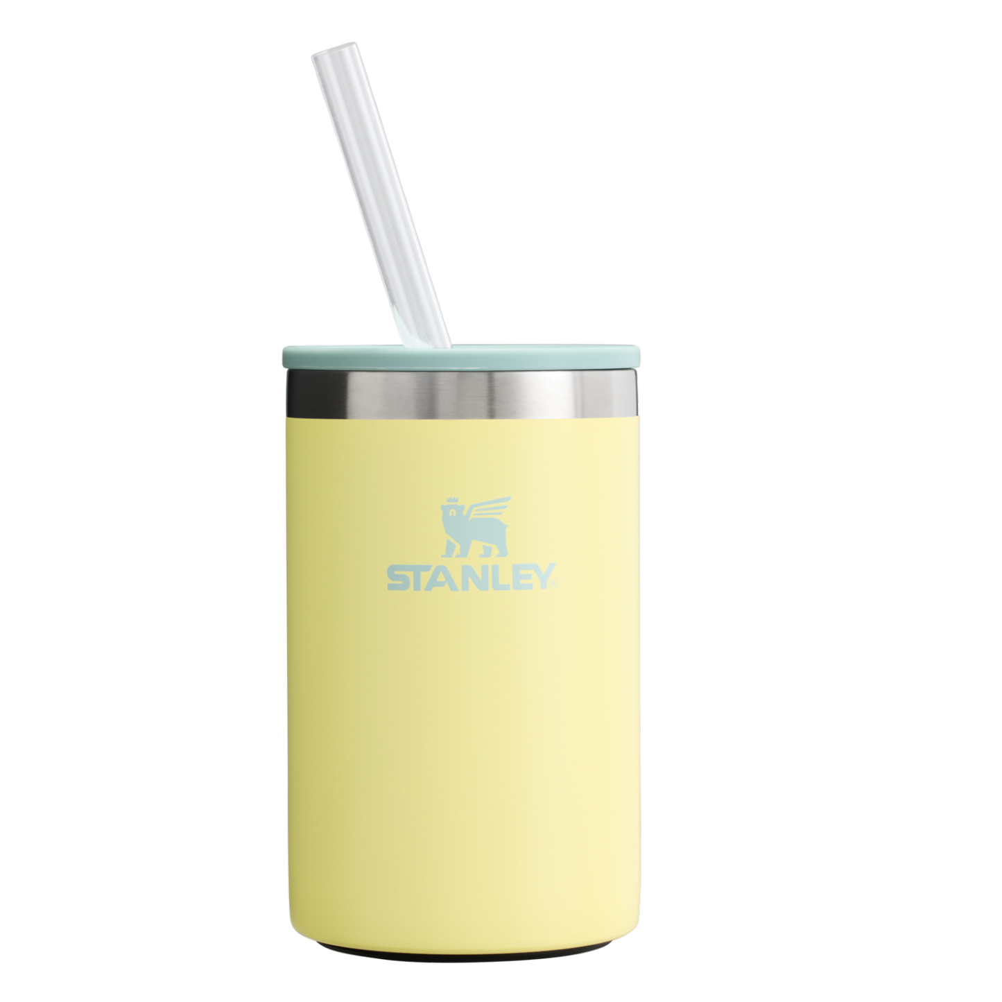 Der alltägliche Dosenkühlerbecher | 10 OZ