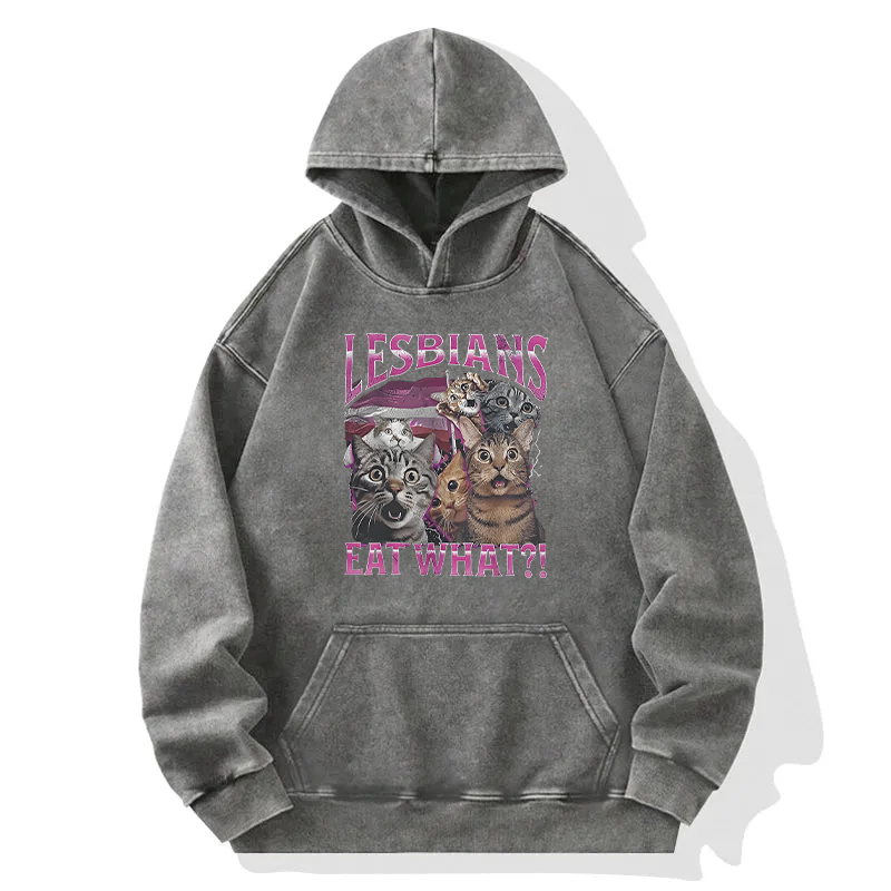 Lesbians Eat What?! Funny Washed Hoodie