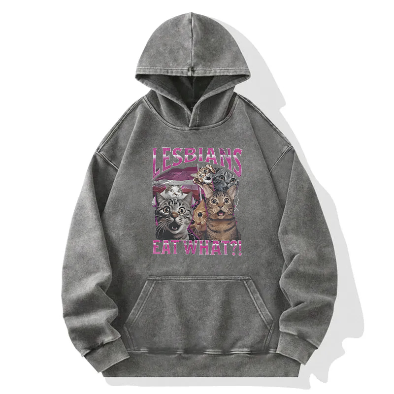 Lesbians Eat What?! Funny Washed Hoodie