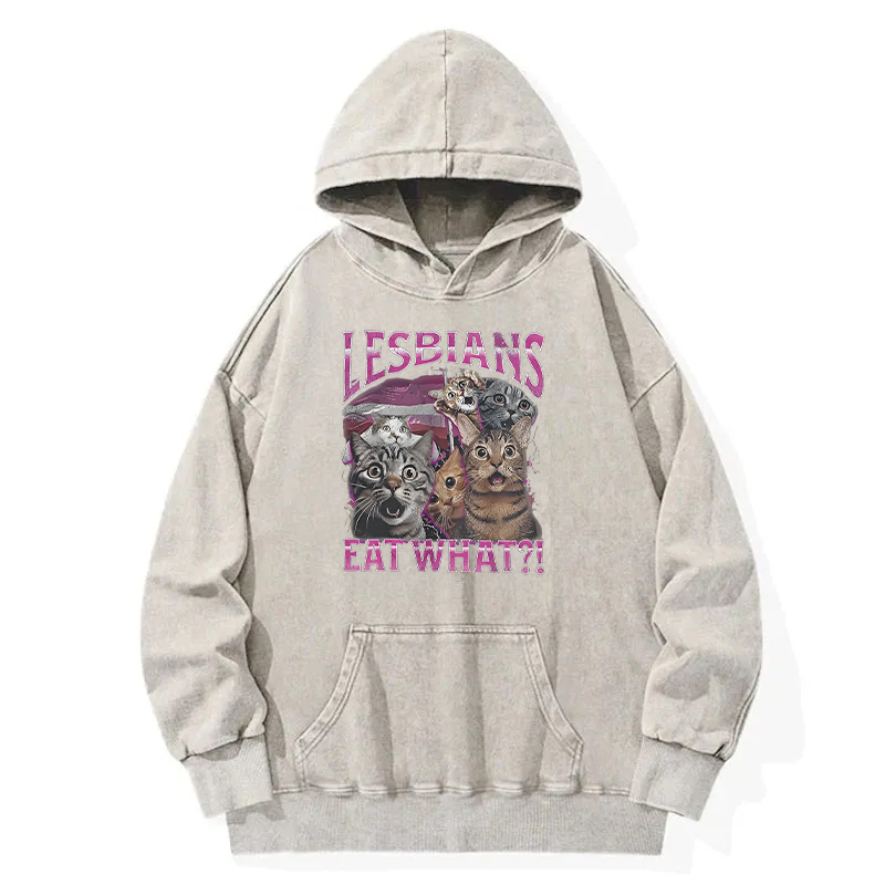 Lesbians Eat What?! Funny Washed Hoodie