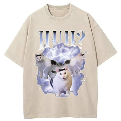 Huh Cat Chonky Ben Meme Washed T-Shirt