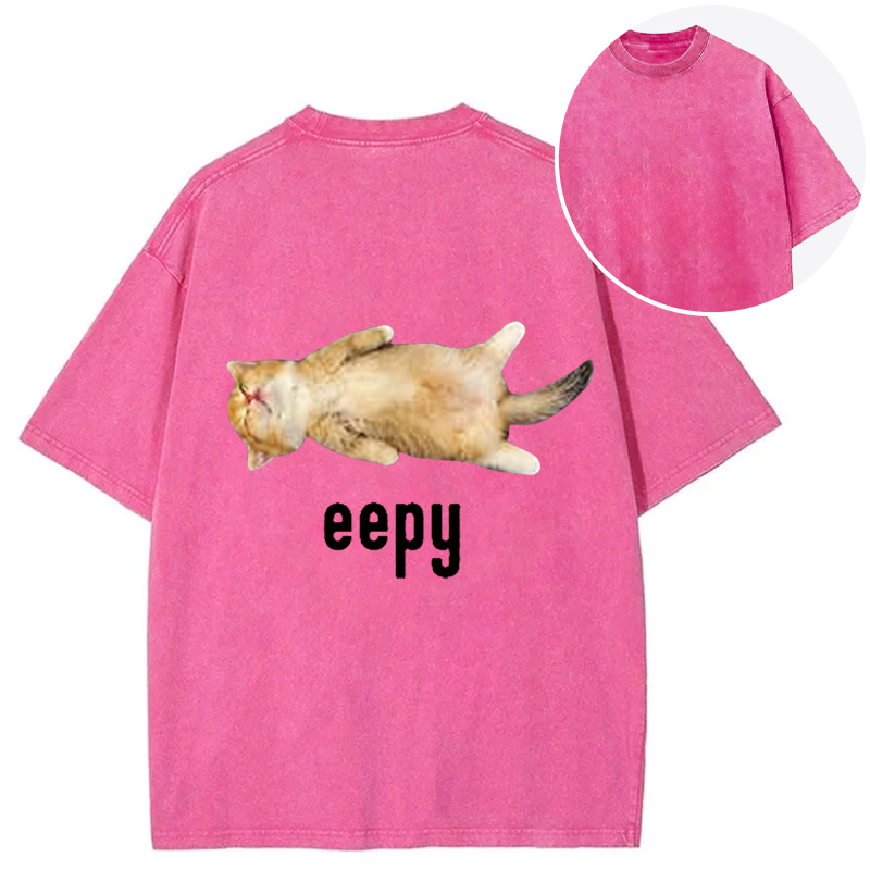 Silly Sleepy Cat Meme Back Washed T-Shirt