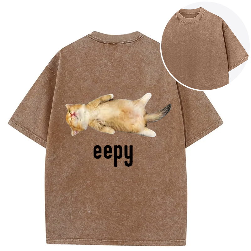 Silly Sleepy Cat Meme Back Washed T-Shirt