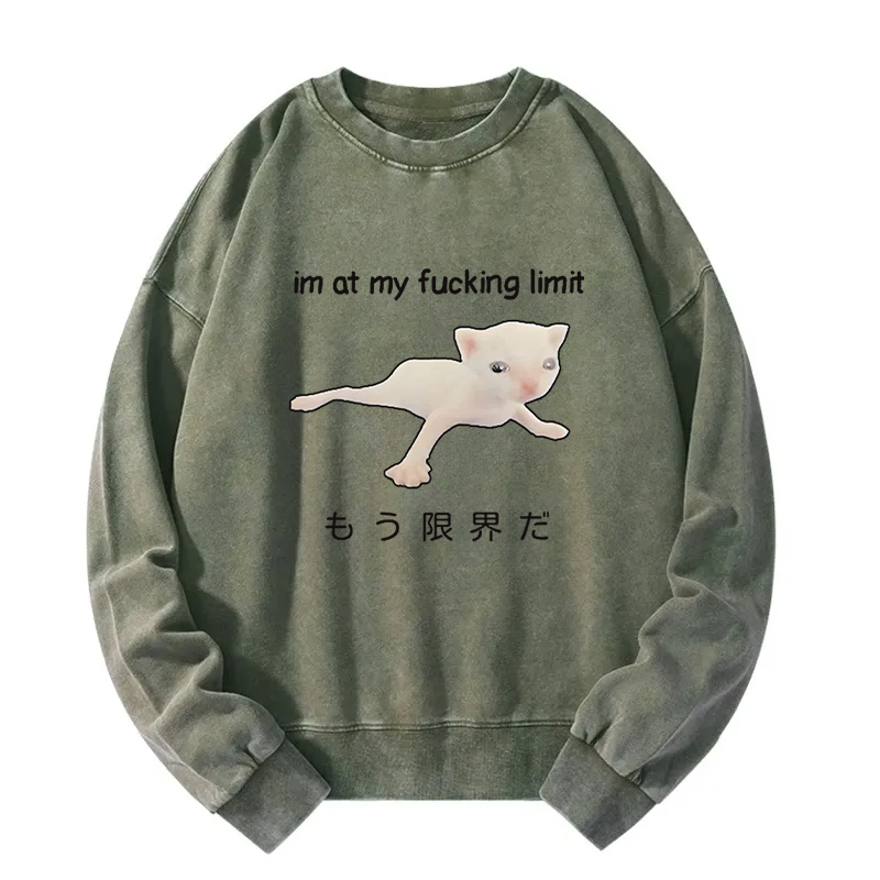 Cat Reaching Its Limit Washed Sweatshirt