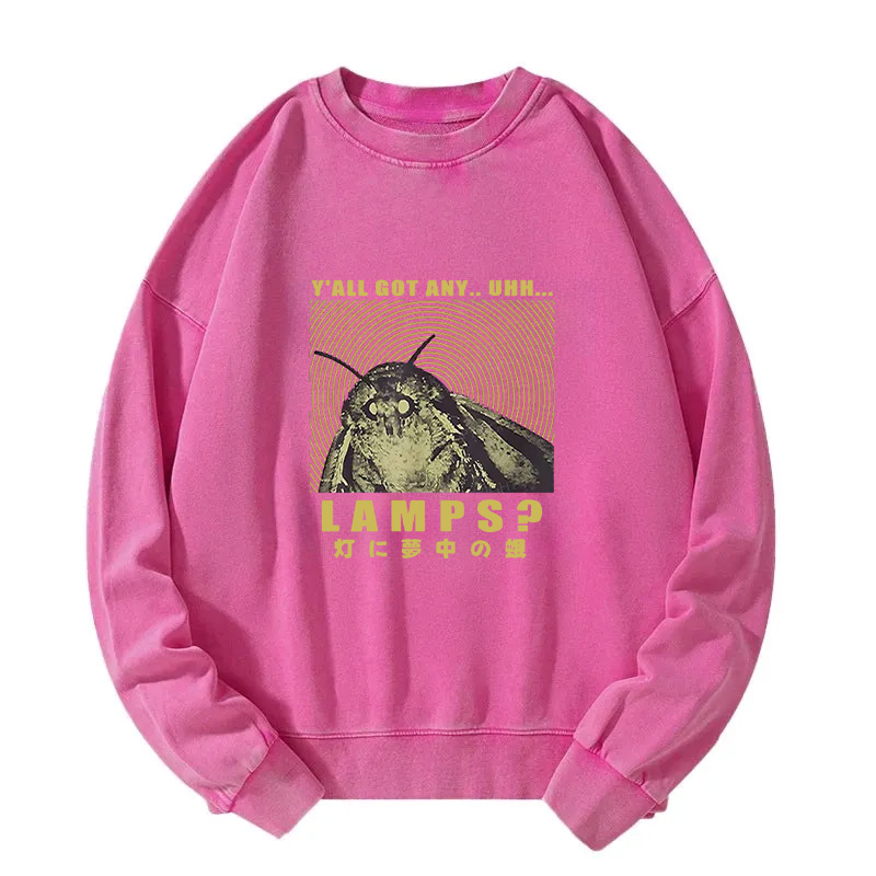Moth Obsessed With The Light Washed Sweatshirt