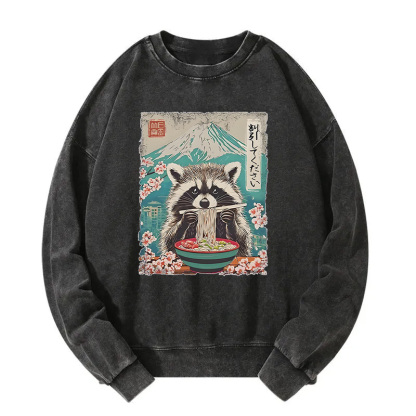 Please Give Raccoon A Discount Washed Sweatshirt