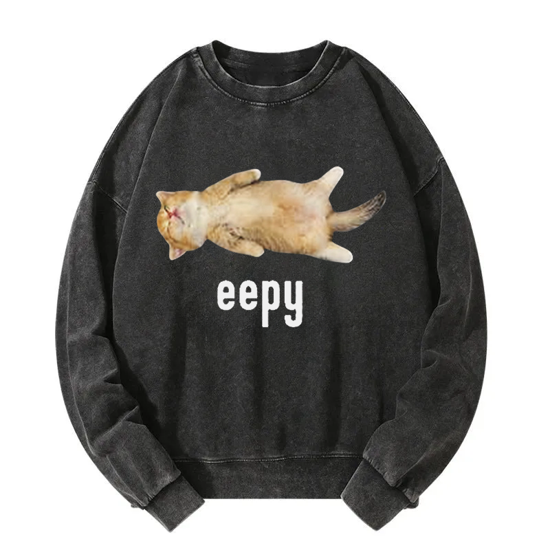 Silly Sleepy Cat Meme Washed Sweatshirt