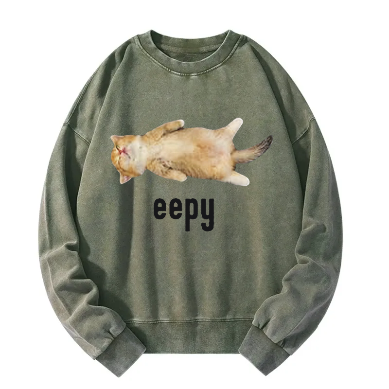 Silly Sleepy Cat Meme Washed Sweatshirt
