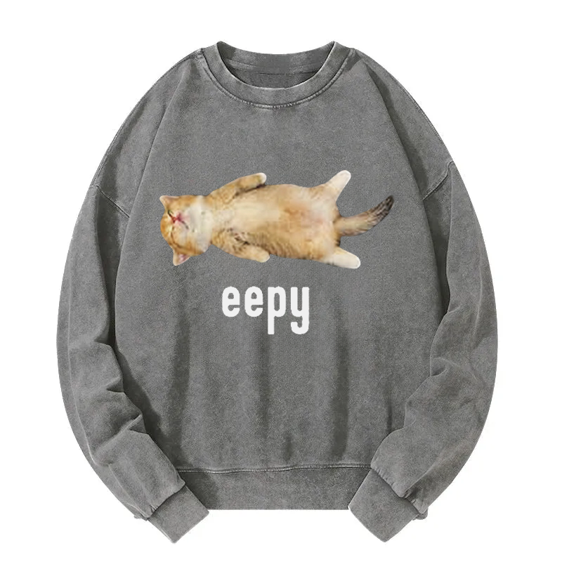 Silly Sleepy Cat Meme Washed Sweatshirt