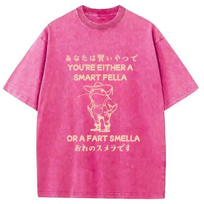 Are You A Smart Fella Or Fart Smella Washed T-Shirt