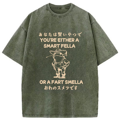 Are You A Smart Fella Or Fart Smella Washed T-Shirt