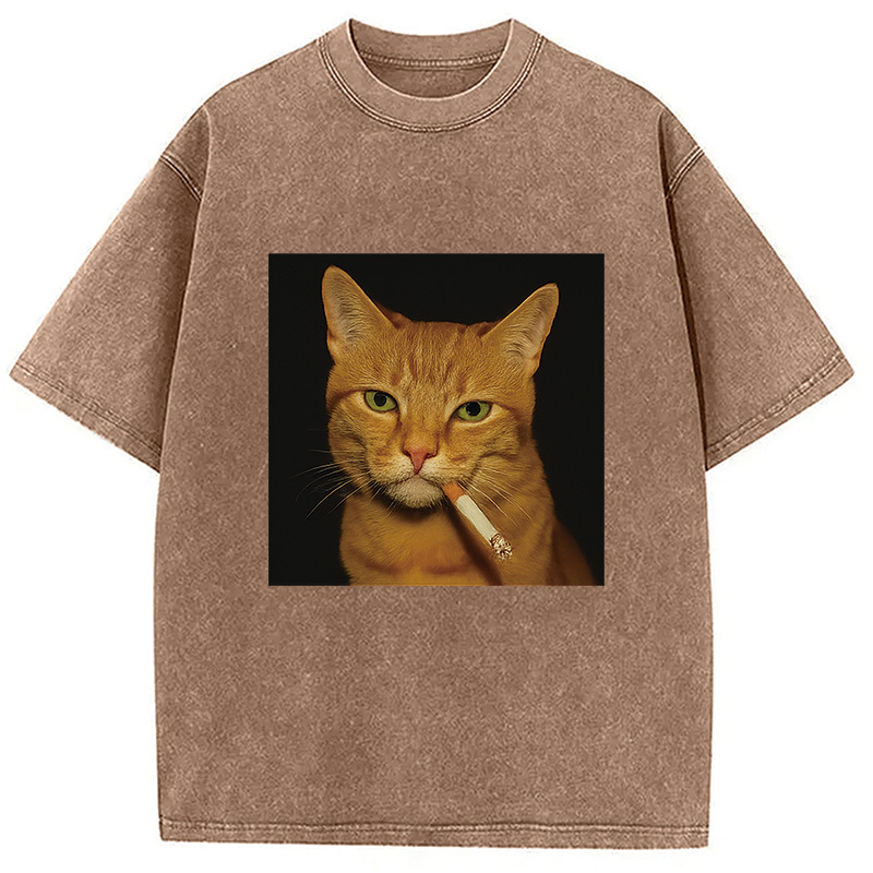 Funny Orange Cat Smoking Meme Washed T-Shirt