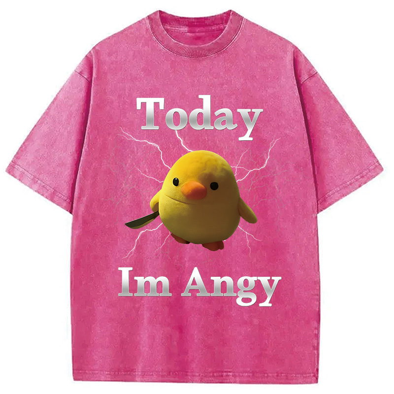 Today I'm Angry Washed T-Shirt