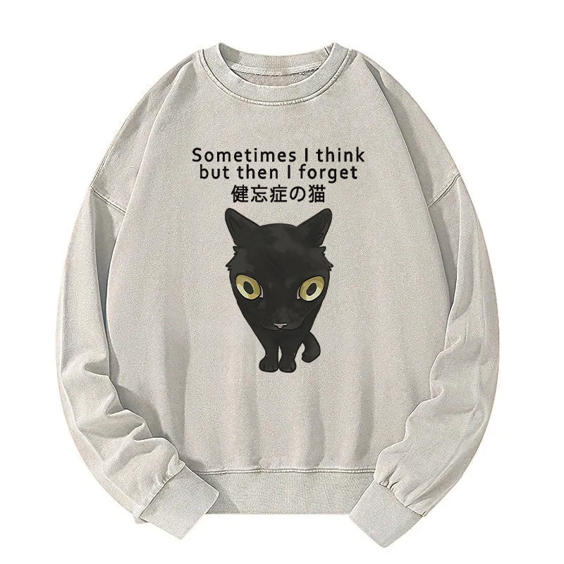 Amnesiac Cat Washed Sweatshirt
