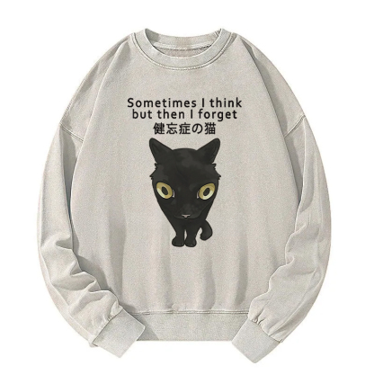 Amnesiac Cat Washed Sweatshirt
