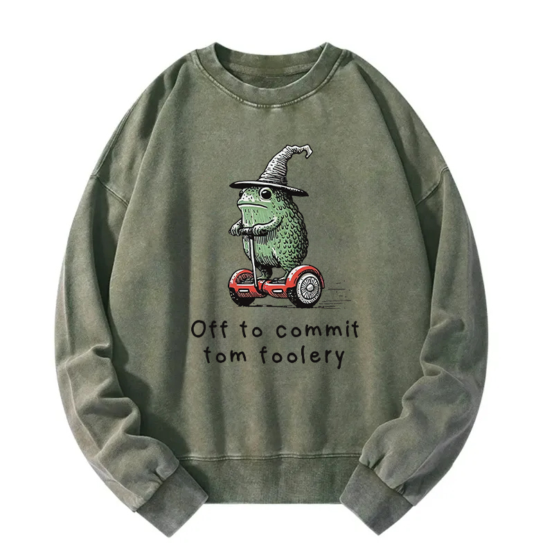 Frog Riding A Balance Scooter Washed Sweatshirt