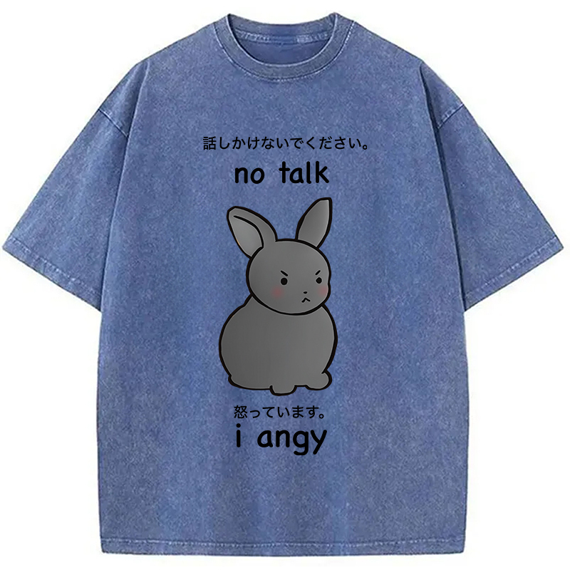 No Talk I Angy Washed T-Shirt