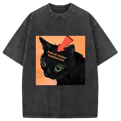Full of Violen Tendencies Washed T-Shirt
