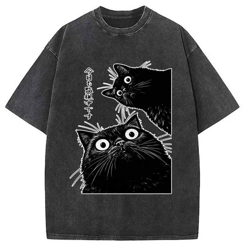 The Cat Is Watching Today Washed T-Shirt