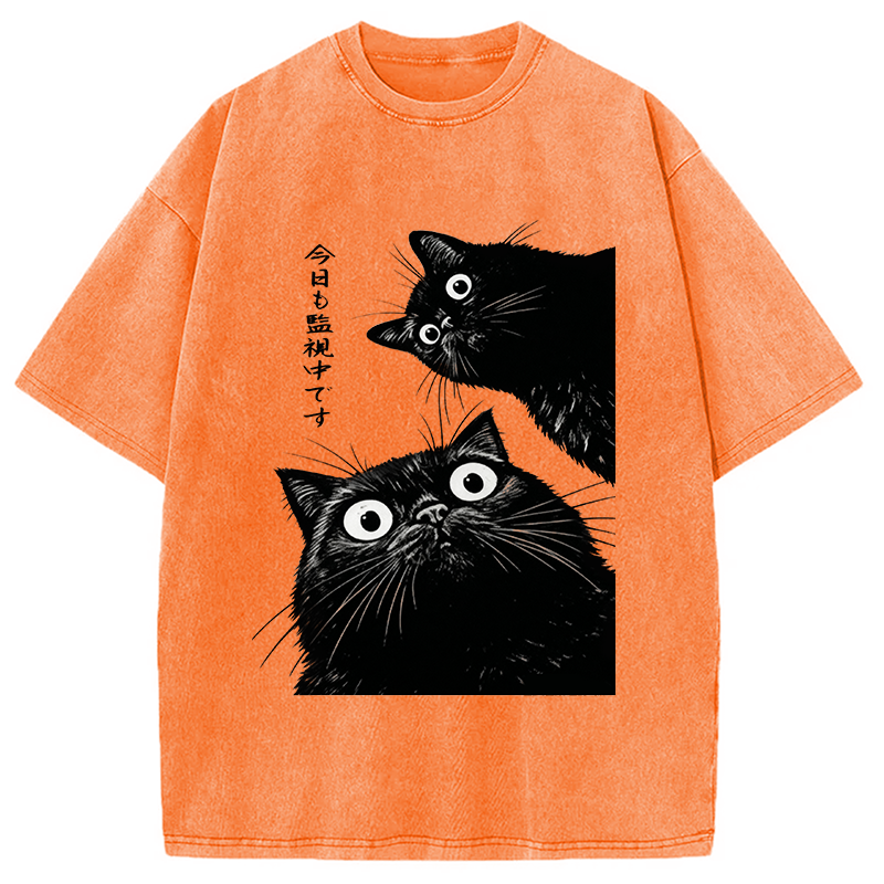 The Cat Is Watching Today Washed T-Shirt