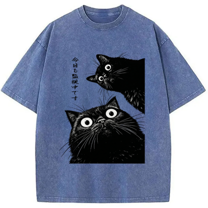 The Cat Is Watching Today Washed T-Shirt