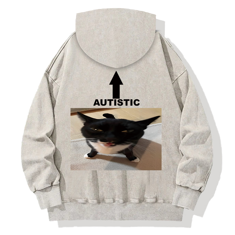 Autistic Cat Back Washed Hoodie