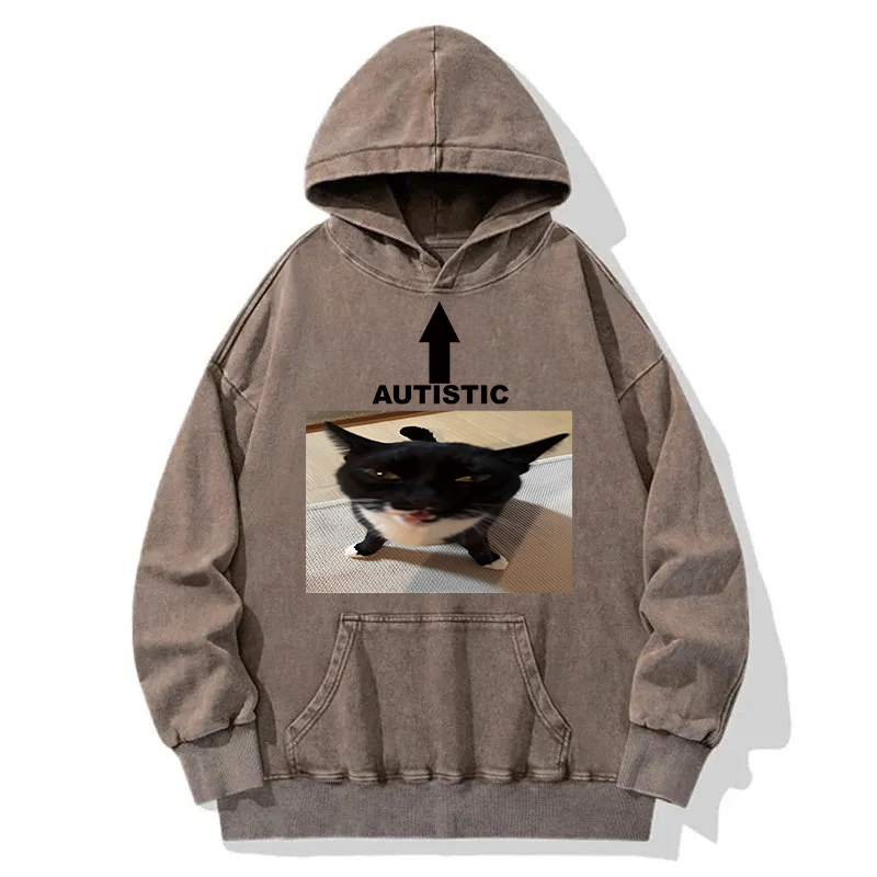 Autistic Cat Washed Hoodie