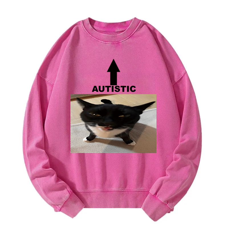 Autistic Cat Washed Sweatshirt
